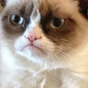 Meet your Posher, Rob